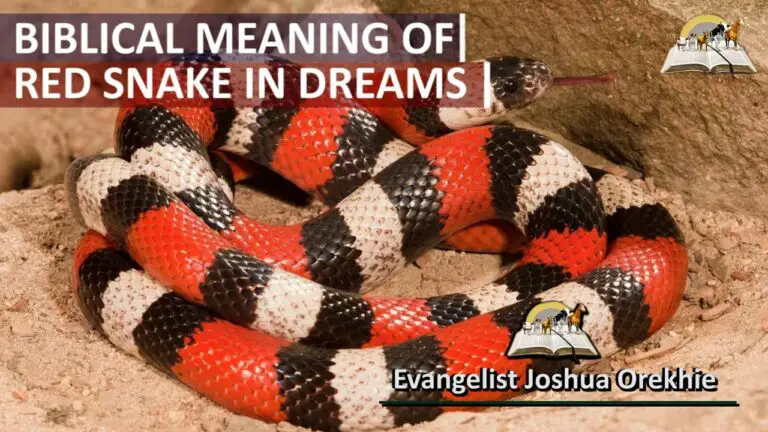 Spiritual Meaning of Red And Black Snake