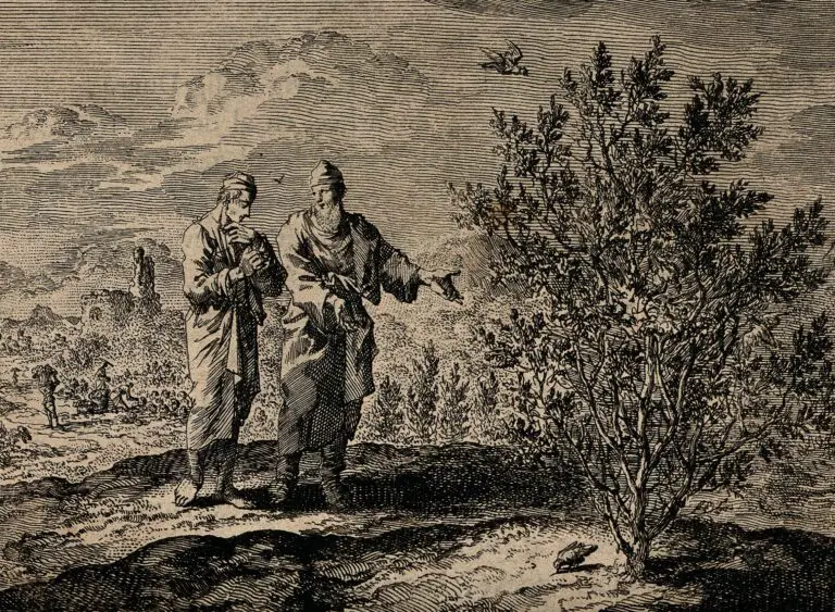 Mustard Seed Spiritual Meaning