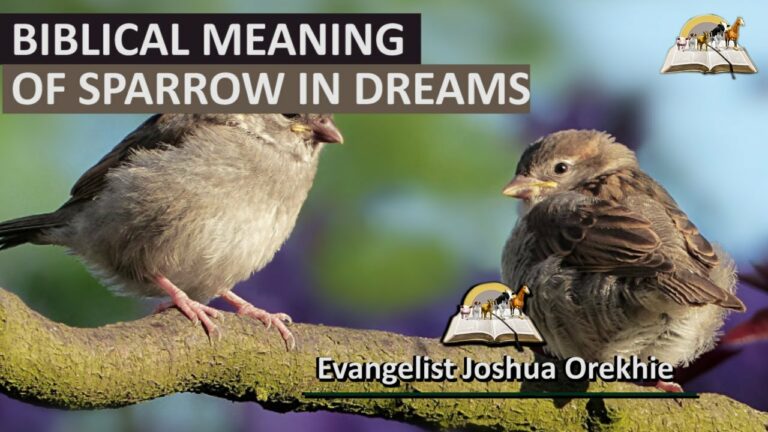 Biblical Meaning of Airport in Dreams
