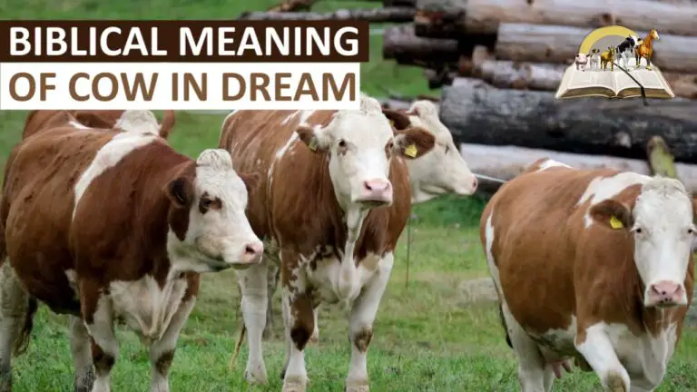 Biblical Meaning of Cows in Dreams