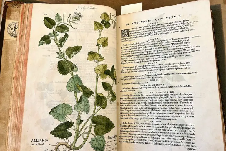 Garlic Spiritual Meaning