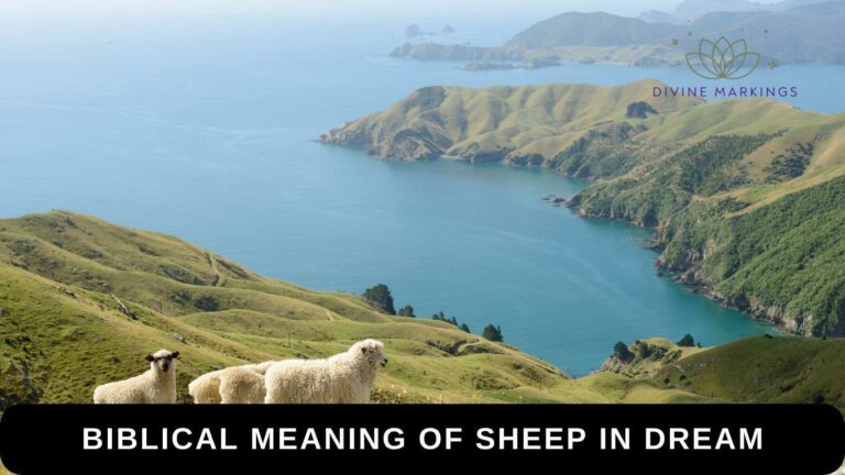 Biblical Meaning of Sheep in Dream