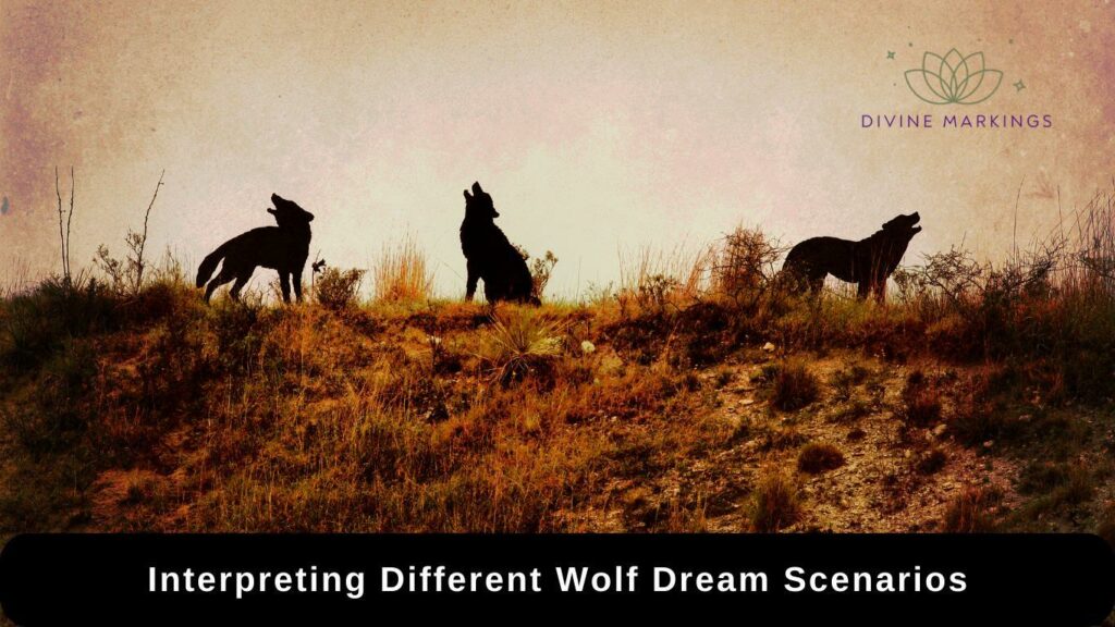 Interpreting Different Wolf Dream Scenarios