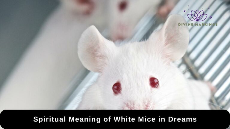 Spiritual Meaning of White Mice in Dreams