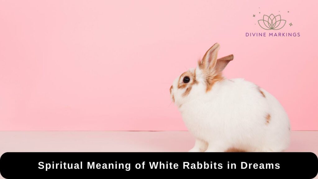 Spiritual Meaning of White Rabbits in Dreams