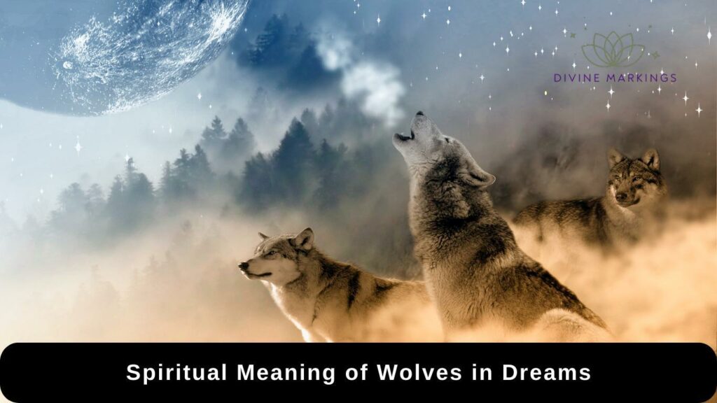 Spiritual Meaning of Wolves in Dreams