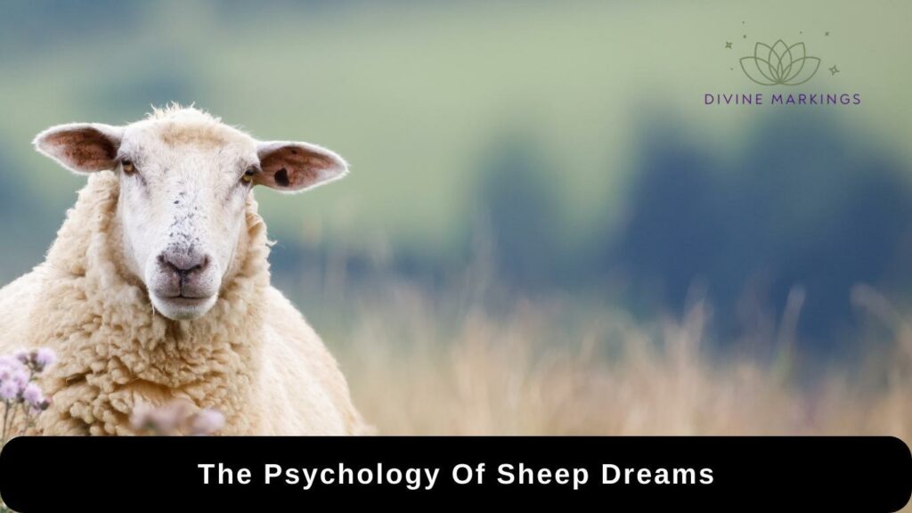 The Psychology Of Sheep Dreams