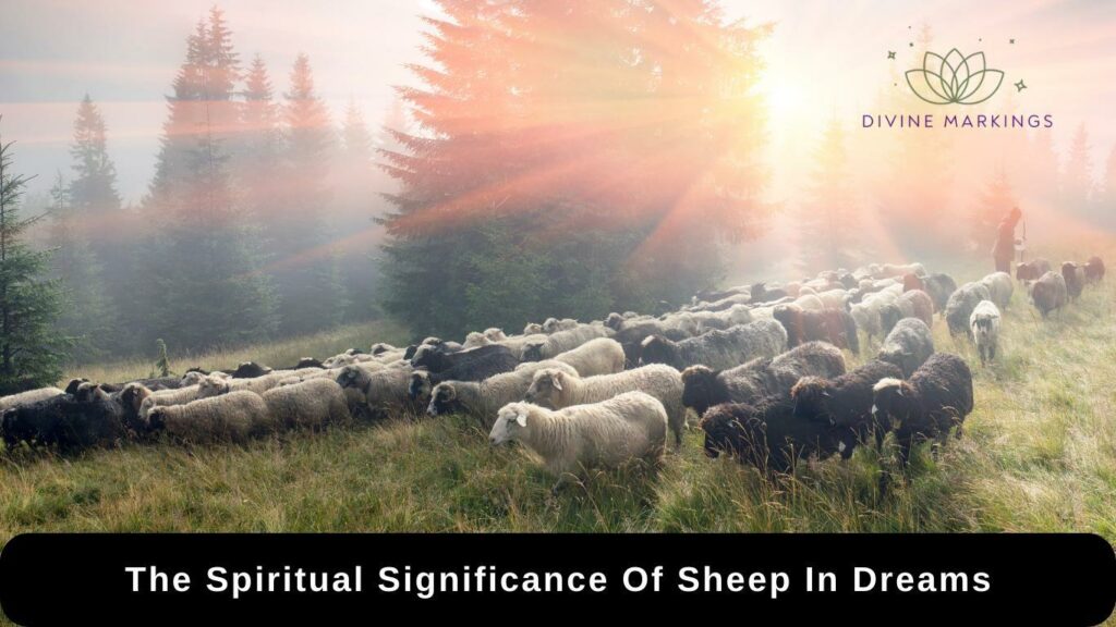 The Spiritual Significance Of Sheep In Dreams