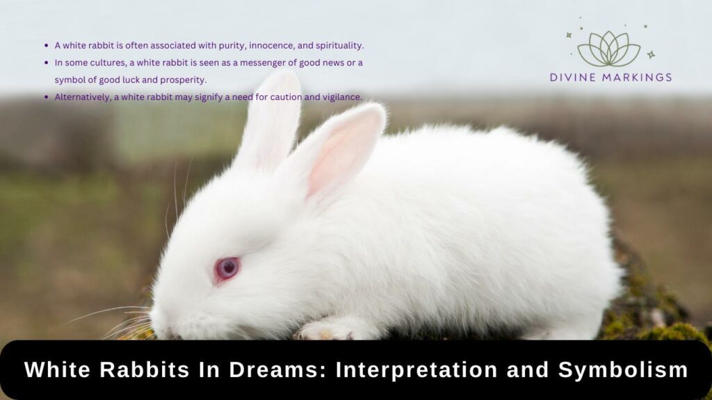 White Rabbits In Dreams Interpretation and Symbolism