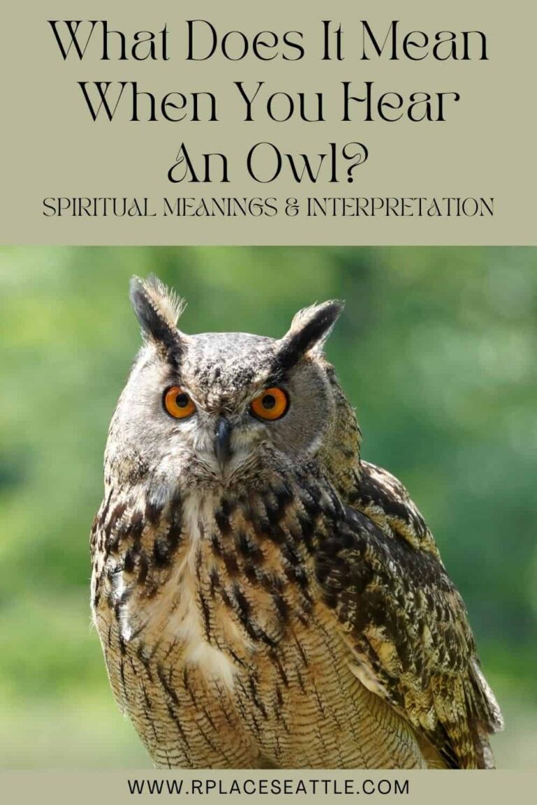 Hearing an Owl at Night: Spiritual Meaning and Wisdom Guidance