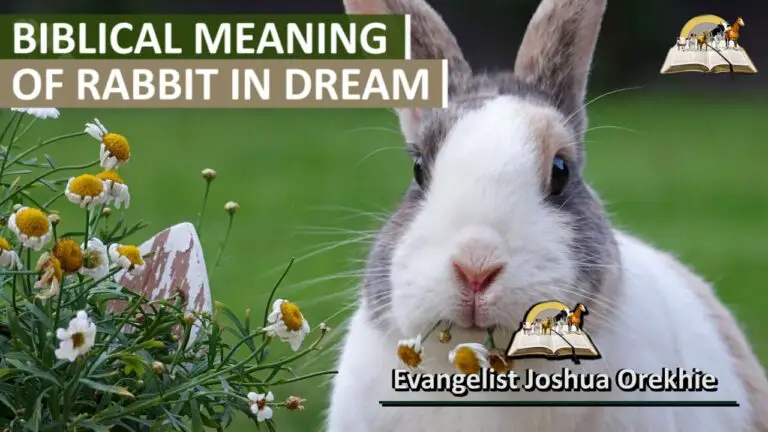 Spiritual Meaning of Grey Rabbits in Dream