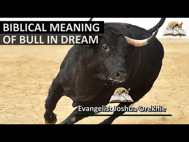 Biblical Meaning of Bull in Dream