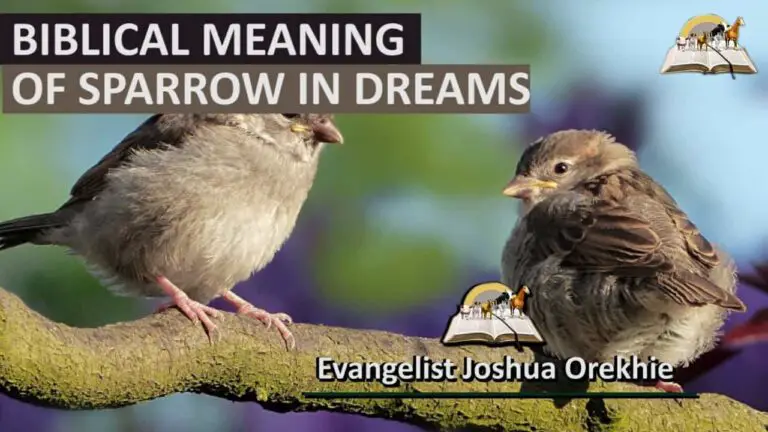 Biblical Meaning of Sparrow