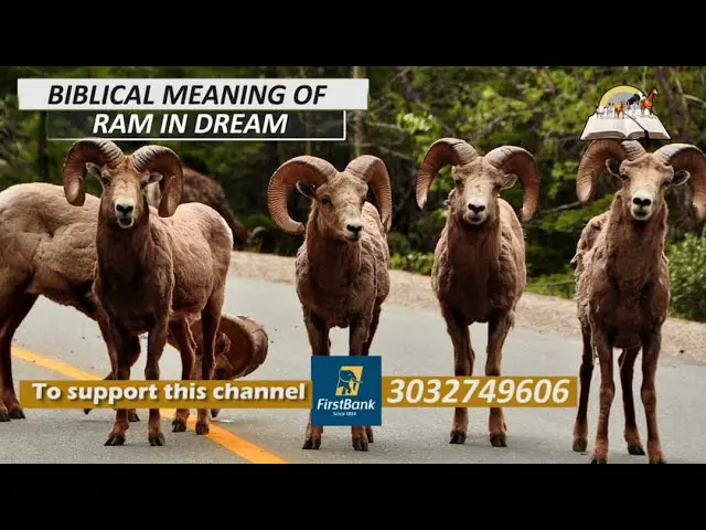 Biblical Meaning of a Ram in a Dream