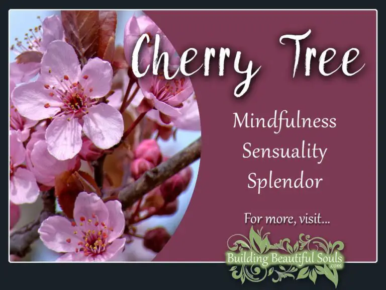 Biblical Meaning of Cherry Blossom Tree