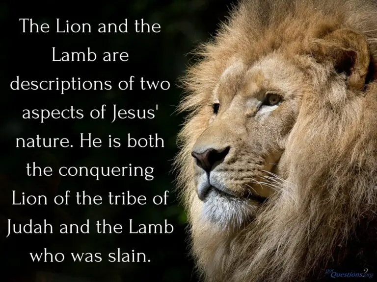 Biblical Meaning of Lion