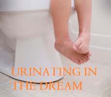 Spiritual Meaning of Urinating in a Dream
