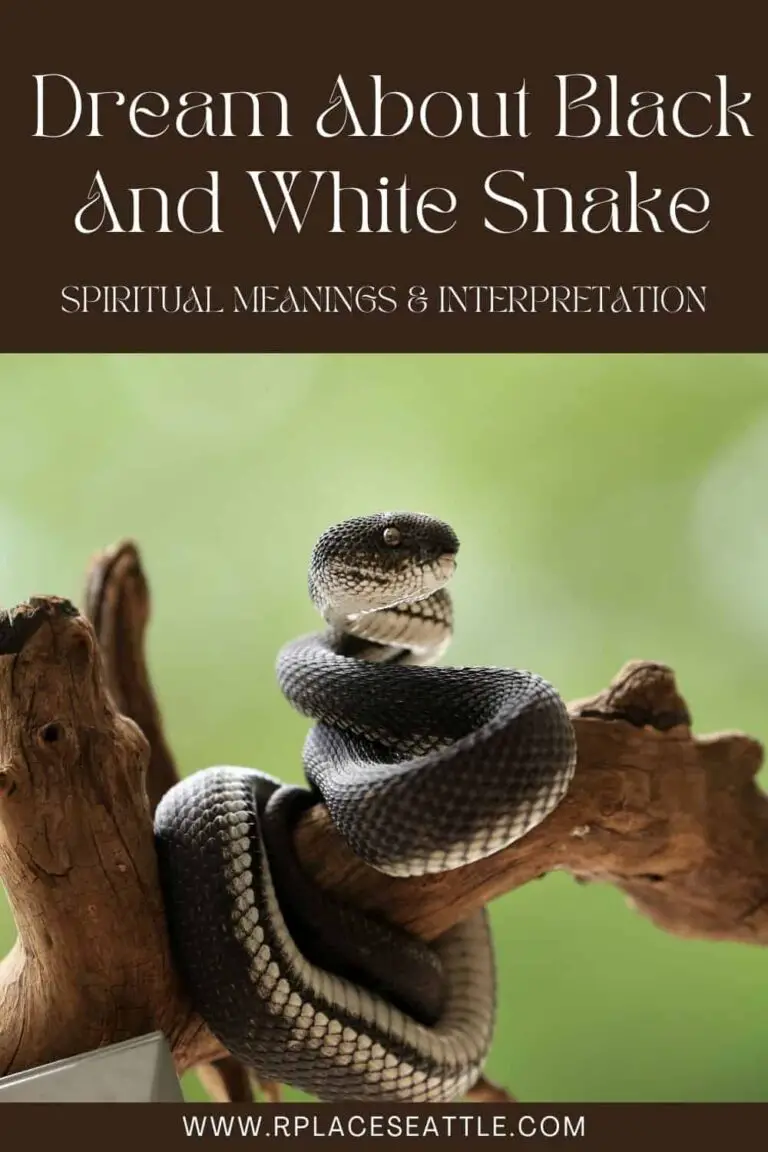 Biblical Meaning of a White Snake in a Dream