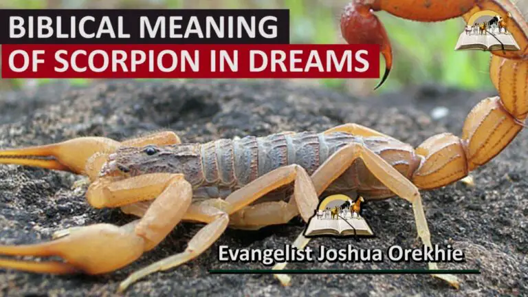 Spiritual Meaning of Scorpion in Dreams