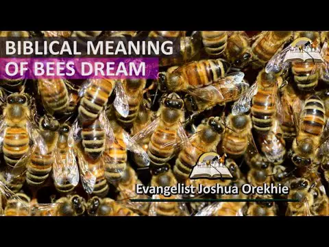 Biblical Meaning of Bees in Dreams