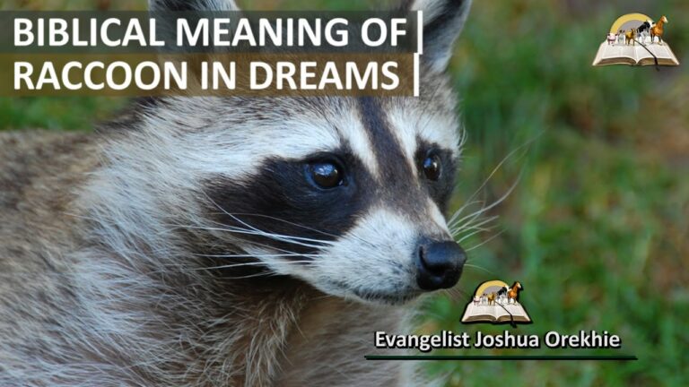 Biblical Meaning of Raccoon