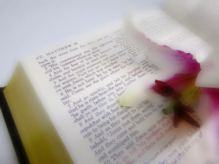 Biblical Meaning of Flowers: Understanding Nature’s Spiritual Language