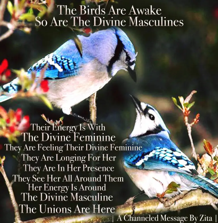 Blue Jay Spiritual Meaning Twin Flame