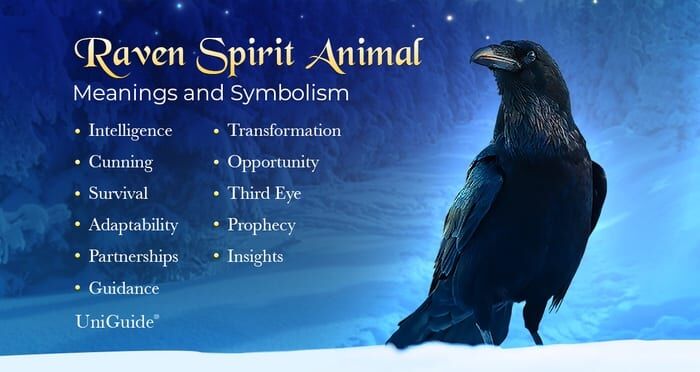 Spiritual Meaning of Playing Soccer in the Dream: A Guide to Balance and Teamwork