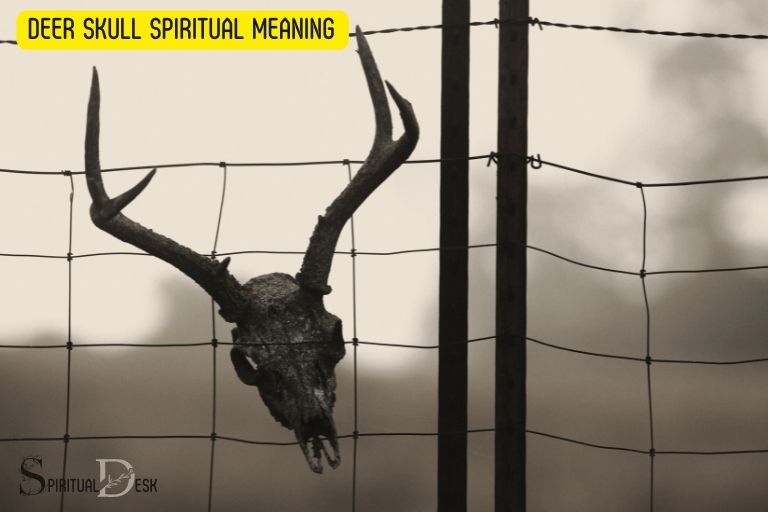 Deer Skull Spiritual Meaning: Understanding Cycles of Growth and Renewal