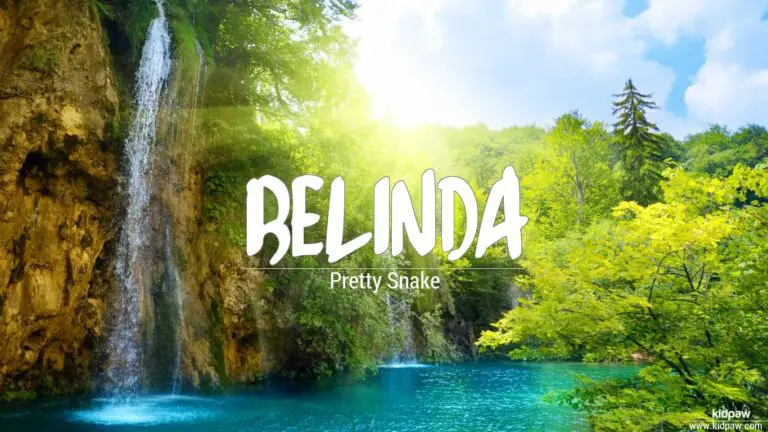 Biblical Meaning of Belinda