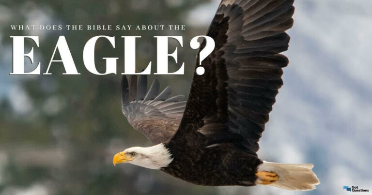 Biblical Meaning of an Eagle