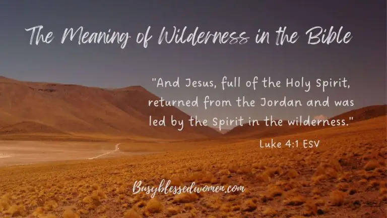 Biblical Meaning of Wilderness