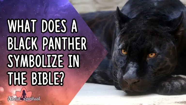 Biblical Meaning of Black Panther in Dreams