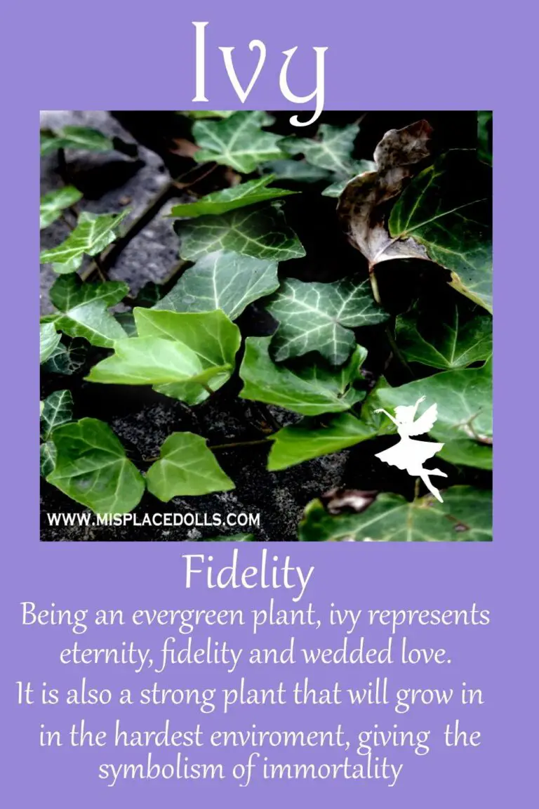 Ivy Spiritual Meaning