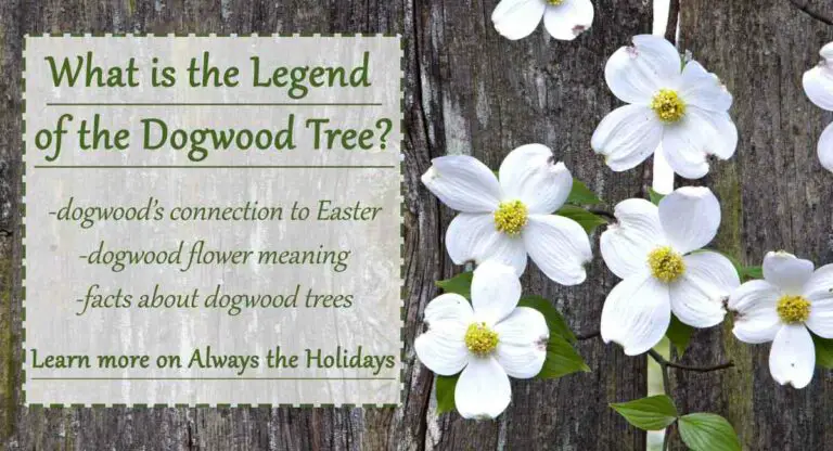 Dogwood Tree Spiritual Meaning
