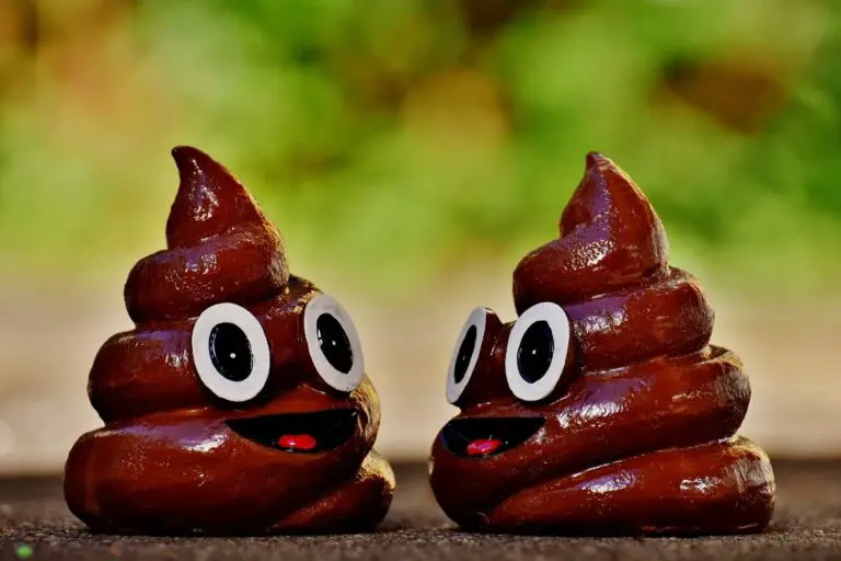 Biblical Meaning of Seeing Feces in a Dream