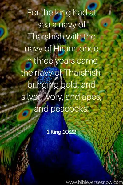 Biblical Meaning of Peacock