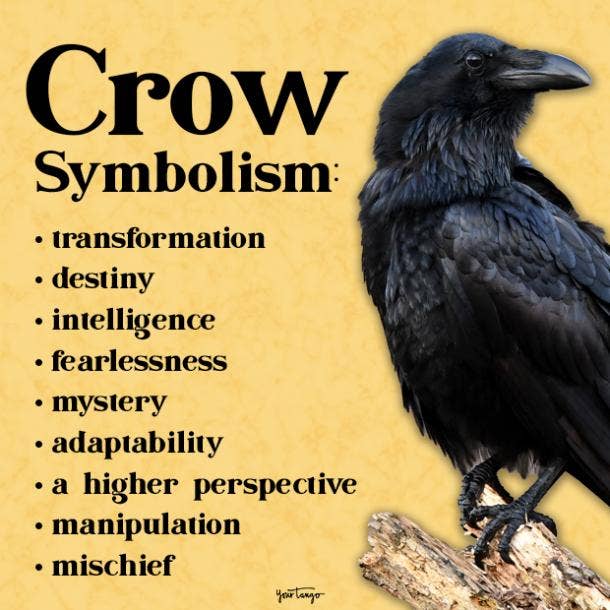 Black Crow Spiritual Meaning