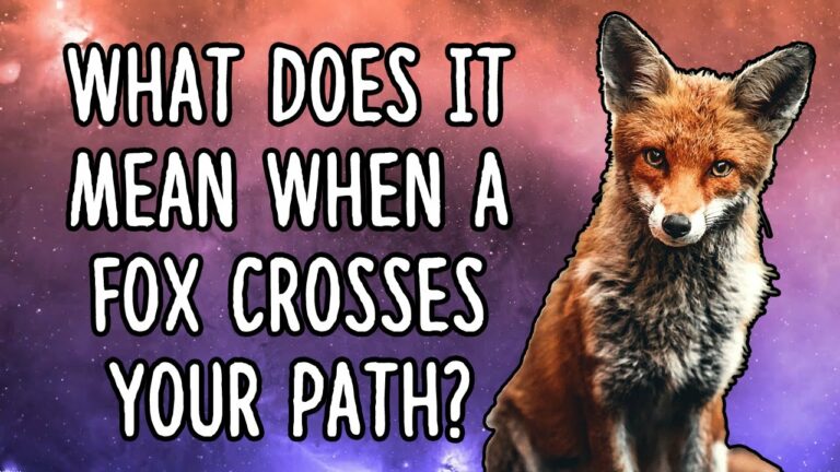 Biblical Meaning of a Fox Crossing Your Path