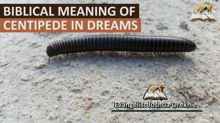 Biblical Meaning of Centipede in Dreams
