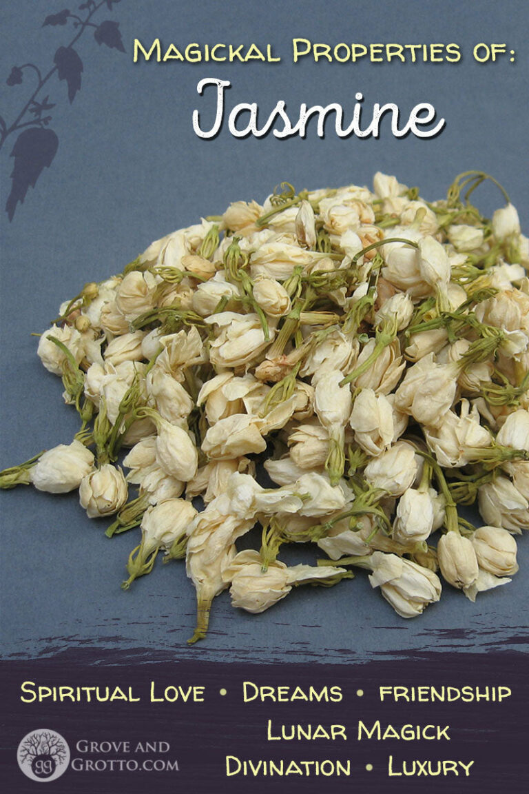 Jasmine Spiritual Meaning