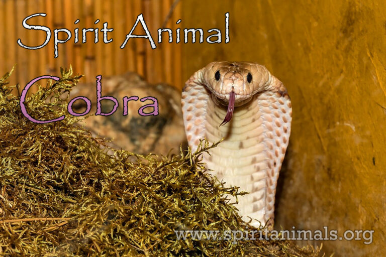 Cobra Spiritual Meaning: Understanding Transformation and Power