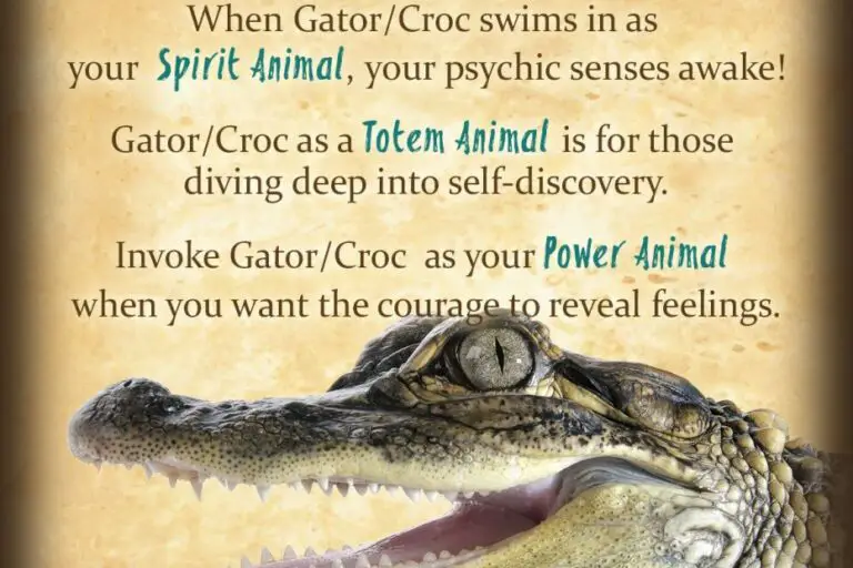 Biblical Meaning of Crocodile in Dreams
