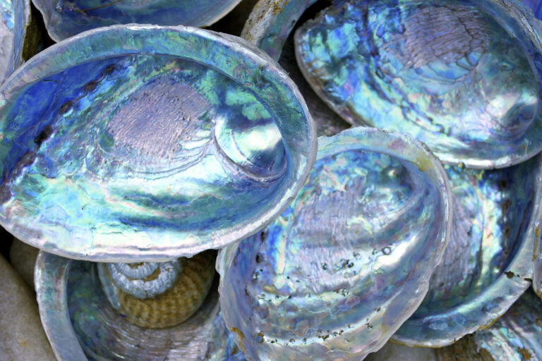 Mother of Pearl Spiritual Meaning: Guidance for Inner Wisdom and Self-Acceptance