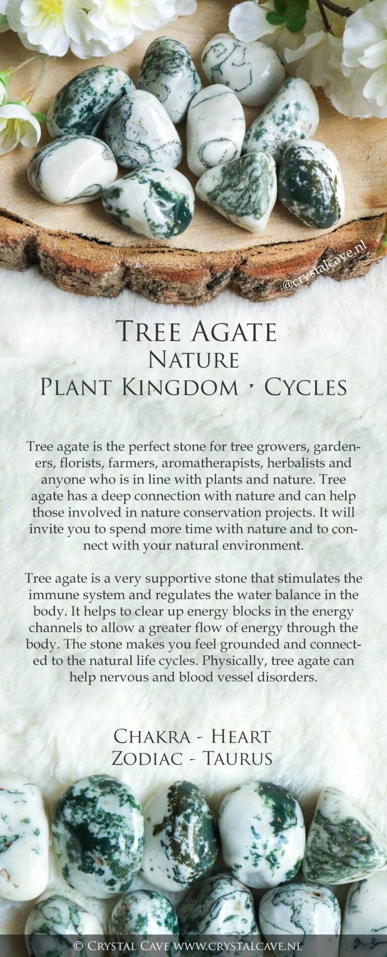 Tree Agate Spiritual Meaning