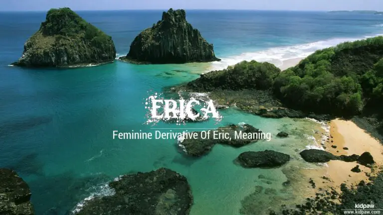 Biblical Meaning of the Name Erica