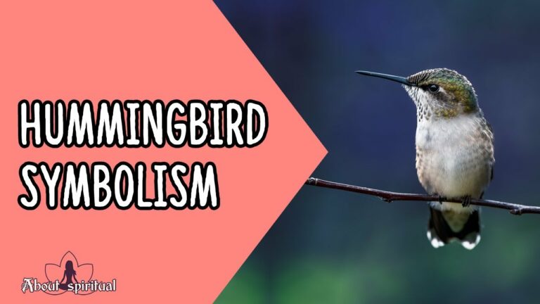 Biblical Meaning of Hummingbird
