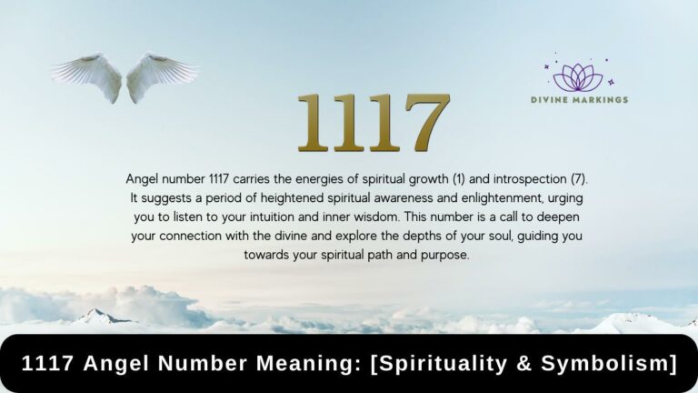 1117 Angel Number Meaning: [Spirituality & Symbolism]