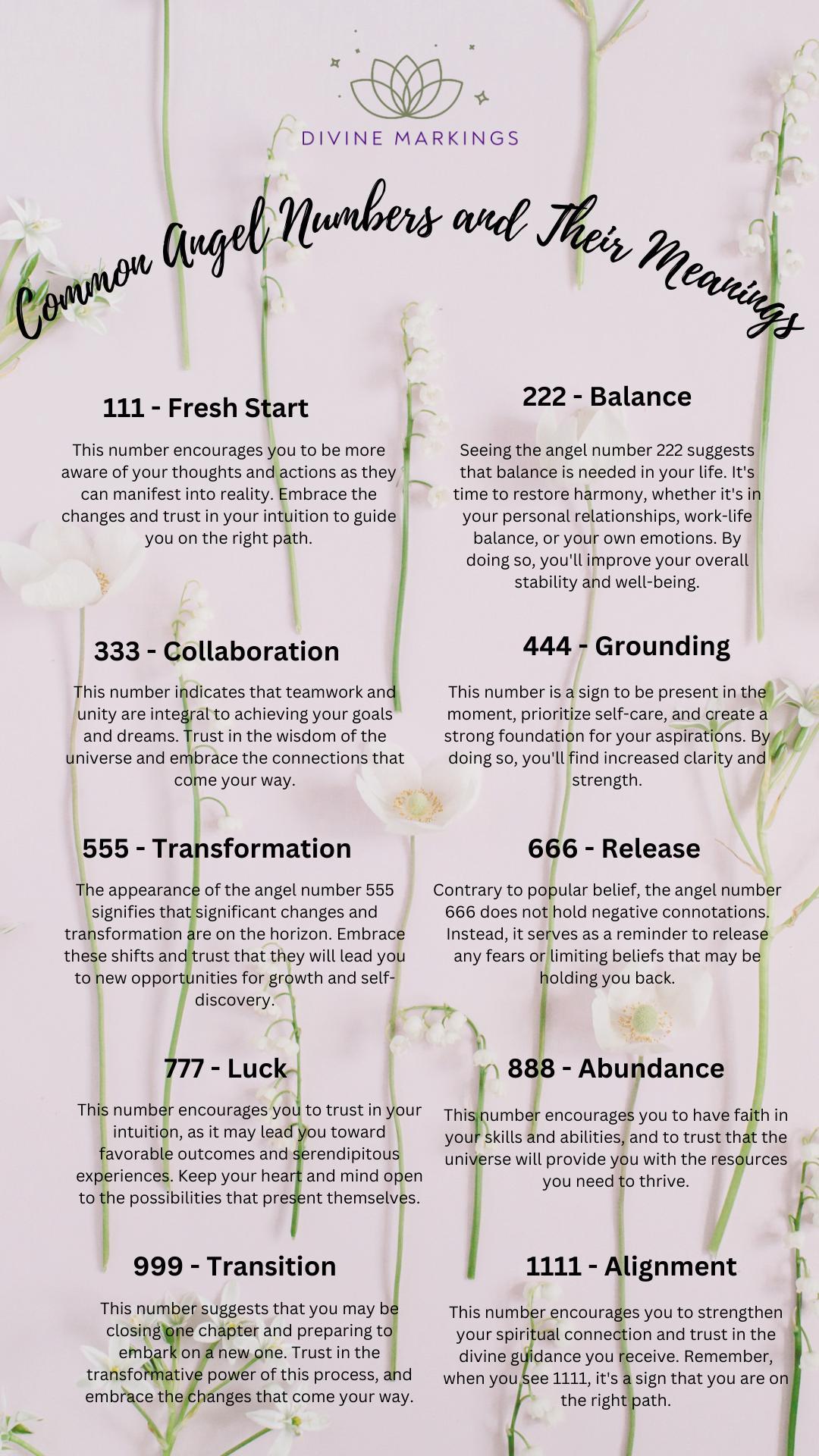 Common Angel Numbers Infographic