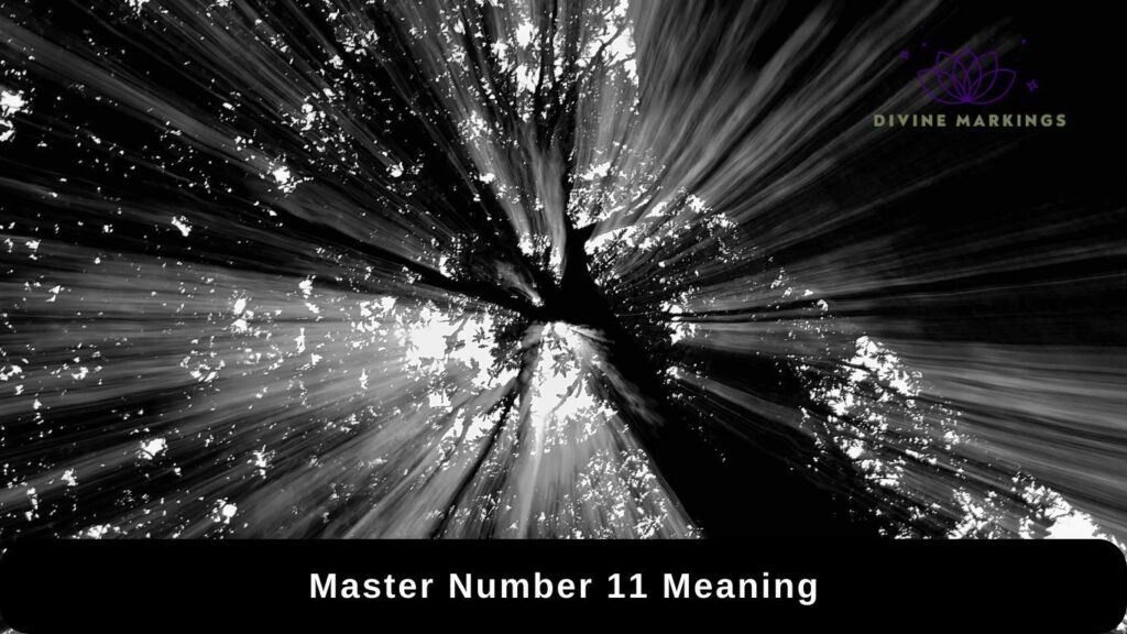 Master Number 11 Meaning